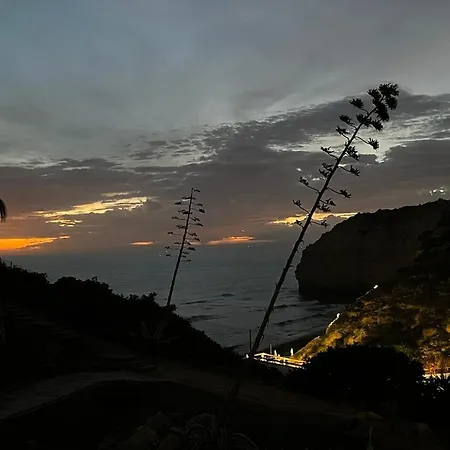 Bohemian Rhapsody Sea View 아파트 *
