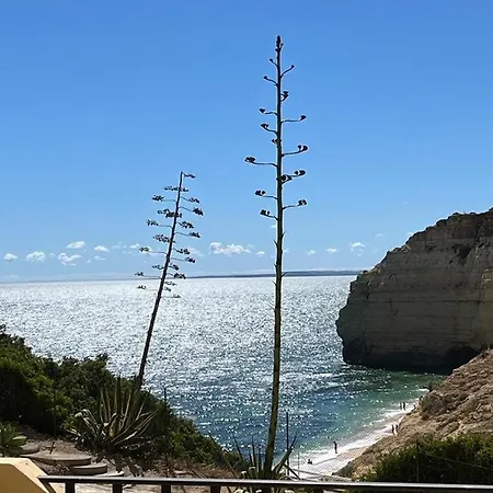 Bohemian Rhapsody Sea View